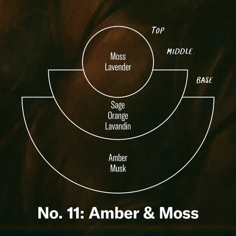 Amber & Moss | Vela cera de soja | P.F. Candle Co